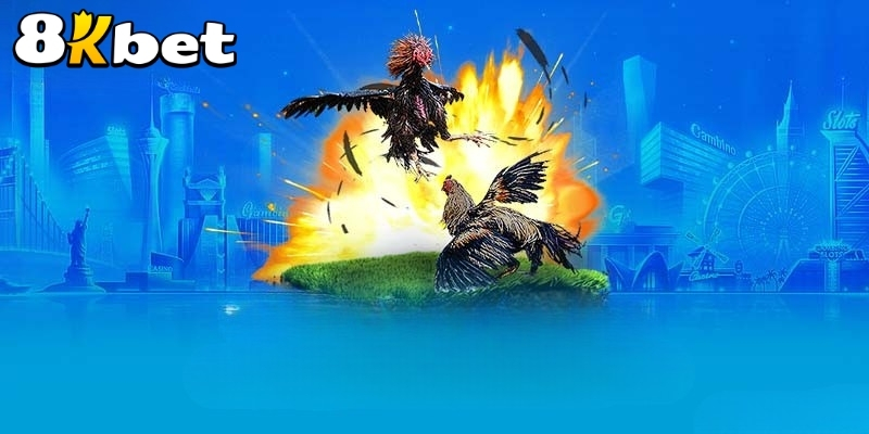 Lỗi khi cài đặt ứng dụng